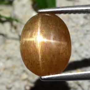 Pedra do Sol Estelar Marrom dourado Natural 4.76ct, Corte Oval, Opaco