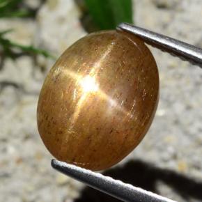 Pedra do Sol Estelar Marrom dourado Natural 4.76ct, Corte Oval, Opaco