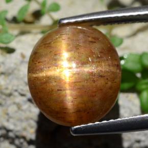 Pedra do Sol Estrela Marrom dourado Natural 6,17ct, Corte Oval, Opaco