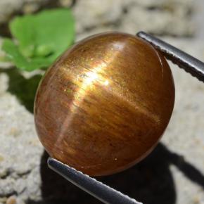 Pedra do Sol Estelar Marrom dourado Natural 17.89ct, Corte Oval, Opaco