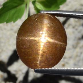 Pedra do sol estrela marrom natural 12,64ct, corte oval, opaco