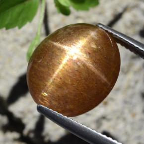 Pedra do sol estrela marrom natural 12,64ct, corte oval, opaco
