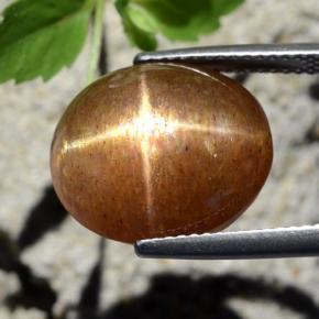 Pedra do sol estrela marrom natural 12,64ct, corte oval, opaco