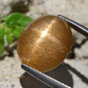 Pedra do Sol Estrela Castanho médio Natural 8,35ct, Corte Oval, Opaco
