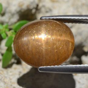 Pedra do Sol Estrela Castanho médio Natural 8,35ct, Corte Oval, Opaco