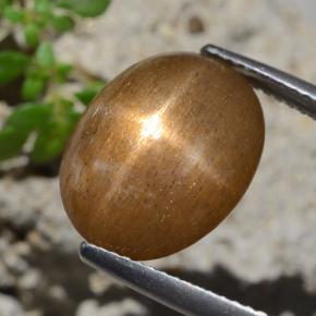 Pedra do Sol Estelar Marrom dourado Natural 7.47ct, Corte Oval, Opaco
