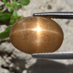 Pedra do Sol Estelar Marrom dourado Natural 7.47ct, Corte Oval, Opaco