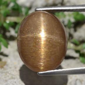 Pedra do sol estrela marrom natural 10,14ct, corte oval, opaco