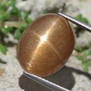 Pedra do sol estrela marrom natural 10,14ct, corte oval, opaco