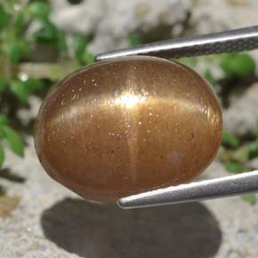 Pedra do sol estrela marrom natural 10,14ct, corte oval, opaco