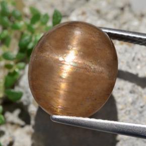 Pedra do sol estrela marrom natural 9,50ct, corte oval, opaco