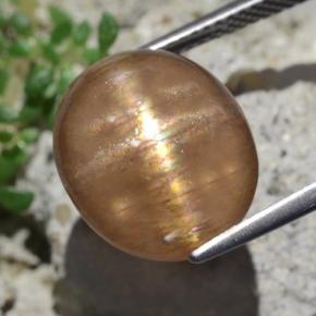 Pedra do sol estrela marrom natural 9,50ct, corte oval, opaco