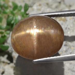 Pedra do sol estrela marrom natural 9,50ct, corte oval, opaco