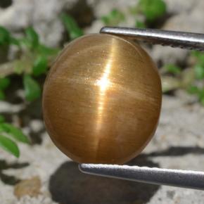 Pedra do sol estrela marrom natural 6,94ct, corte oval, opaco