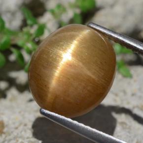 Pedra do sol estrela marrom natural 6,94ct, corte oval, opaco