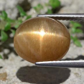 Pedra do sol estrela marrom natural 6,94ct, corte oval, opaco