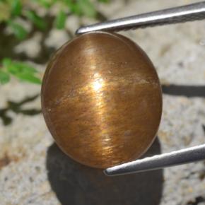 Pedra do Sol Estelar Castanho Médio-Claro Natural 9.02ct, Corte Oval, Opaco
