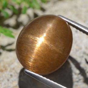 Pedra do Sol Estelar Castanho Médio-Claro Natural 9.02ct, Corte Oval, Opaco