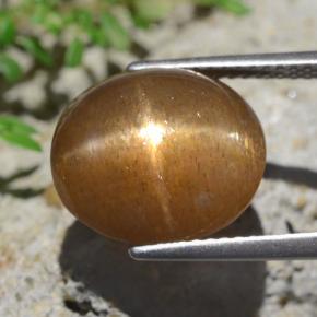 Pedra do Sol Estelar Castanho Médio-Claro Natural 9.02ct, Corte Oval, Opaco