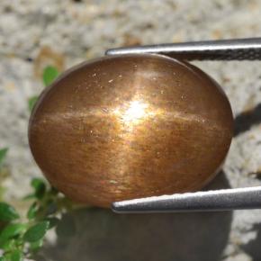 Pedra do Sol Estelar Marrom dourado Natural 13.59ct, Corte Oval, Opaco