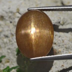 Pedra do Sol Estelar Marrom dourado Natural 9.58ct, Corte Oval, Opaco