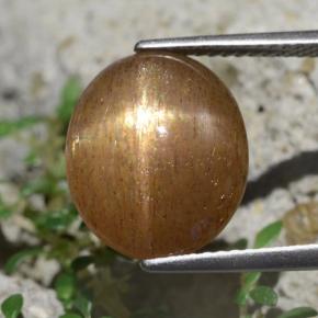 Pedra do Sol Estrela Marrom dourado Natural 6,20ct, Corte Oval, Opaco