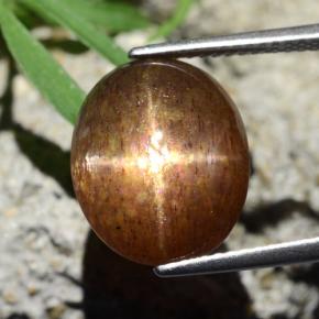 Pedra do Sol Estelar Marrom dourado Natural 8.75ct, Corte Oval, Opaco