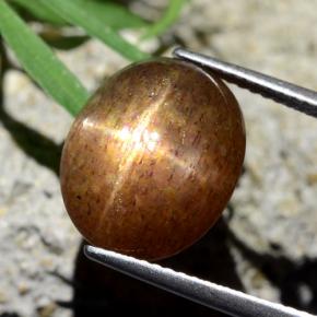 Pedra do Sol Estelar Marrom dourado Natural 8.75ct, Corte Oval, Opaco