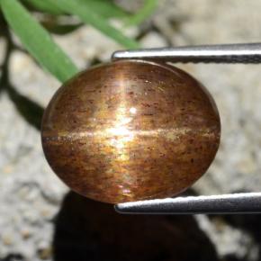 Pedra do Sol Estelar Marrom dourado Natural 8.75ct, Corte Oval, Opaco