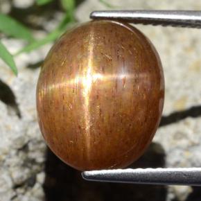 Pedra do Sol Estelar Marrom dourado Natural 9.75ct, Corte Oval, Opaco