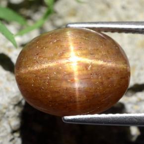 Pedra do Sol Estelar Marrom dourado Natural 9.75ct, Corte Oval, Opaco