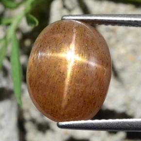 Pedra do Sol Estelar Marrom dourado Natural 8.39ct, Corte Oval, Opaco