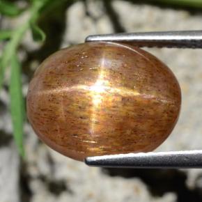 Pedra do Sol Estelar Marrom dourado Natural 8.39ct, Corte Oval, Opaco