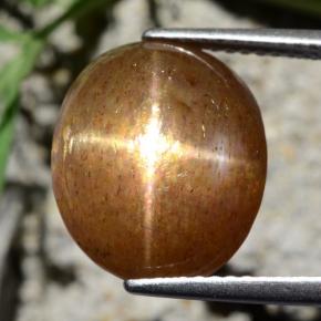 Pedra do Sol Estelar Marrom dourado Natural 9.24ct, Corte Oval, Opaco