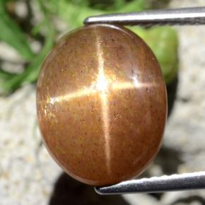 Pedra do sol estrela marrom natural 9,10ct, corte oval, opaco