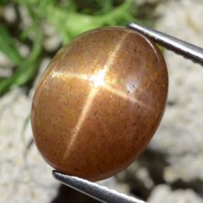 Pedra do sol estrela marrom natural 9,10ct, corte oval, opaco