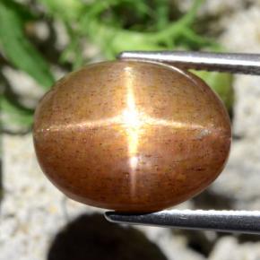 Pedra do sol estrela marrom natural 9,10ct, corte oval, opaco