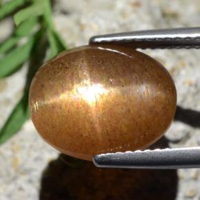 Pedra do Sol Estelar Marrom dourado Natural 6.67ct, Corte Oval, Opaco