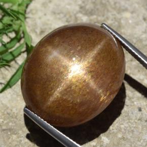 Pedra do Sol Estrela Marrom dourado Natural 39,02ct, Corte Oval, Opaco