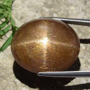 Pedra do Sol Estrela Marrom dourado Natural 39,02ct, Corte Oval, Opaco