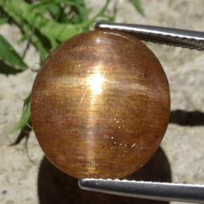 Pedra do Sol Estelar Marrom dourado Natural 12.29ct, Corte Oval, Opaco