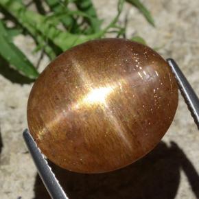 Pedra do Sol Estelar Marrom dourado Natural 12.29ct, Corte Oval, Opaco