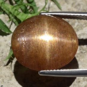 Pedra do Sol Estelar Marrom dourado Natural 12.29ct, Corte Oval, Opaco