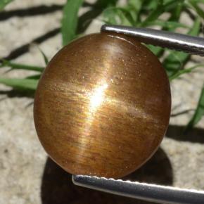 Pedra do Sol Estelar Marrom dourado Natural 12.58ct, Corte Oval, Opaco