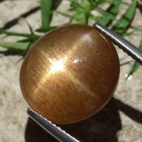Pedra do Sol Estelar Marrom dourado Natural 12.58ct, Corte Oval, Opaco