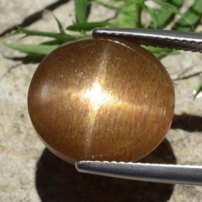 Pedra do Sol Estelar Marrom dourado Natural 12.58ct, Corte Oval, Opaco