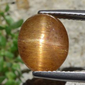 Pedra do Sol Estelar Marrom dourado Natural 4.53ct, Corte Oval, Opaco