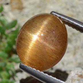 Pedra do Sol Estelar Marrom dourado Natural 4.53ct, Corte Oval, Opaco