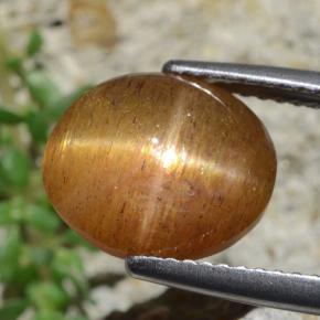 Pedra do Sol Estelar Marrom dourado Natural 4.53ct, Corte Oval, Opaco