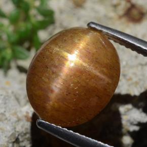 Pedra do Sol Estelar Marrom dourado Natural 7.27ct, Corte Oval, Opaco